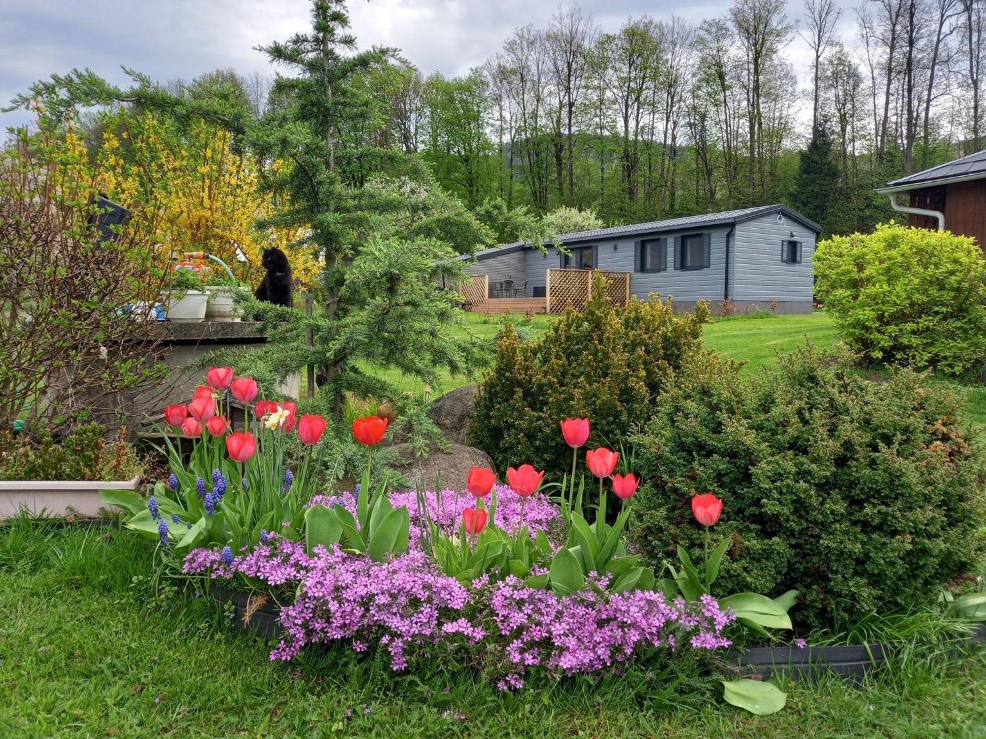 Chata Idylka - Nova Chata Se Zahradou Loucna nad Desnou Exterior foto